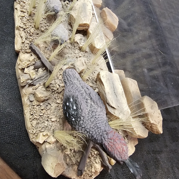 Arizona Highways Desert Acrylic Picture Frame - Picture 2 of 3